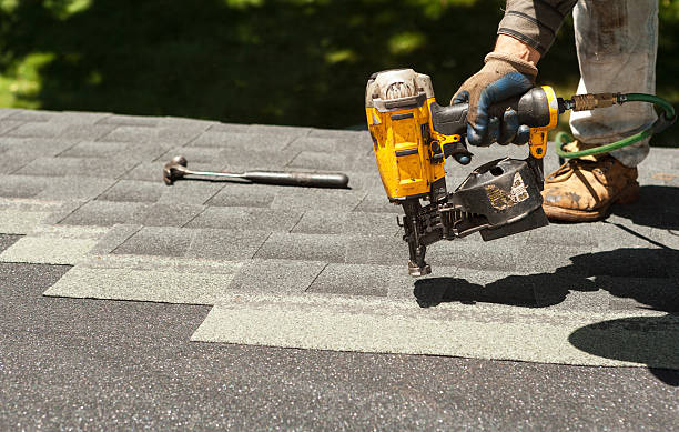Best Roof Gutter Cleaning  in Scobey, MT